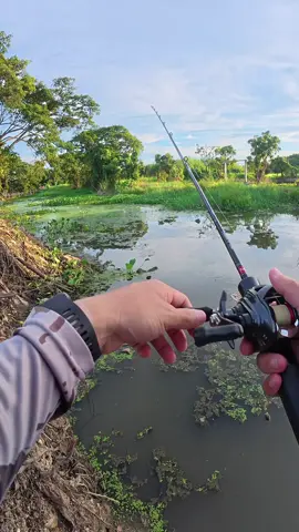หมายปลาช่อนเด็ดๆเชียงใหม่🎣😍ตกปลาช่อนข้างทาง,ตกปลาช่อน#fishing #ตีเหยื่อปลอม #fypfishing #ตกปลาช่อนข้างทาง #เทรนด์วันนี้ 