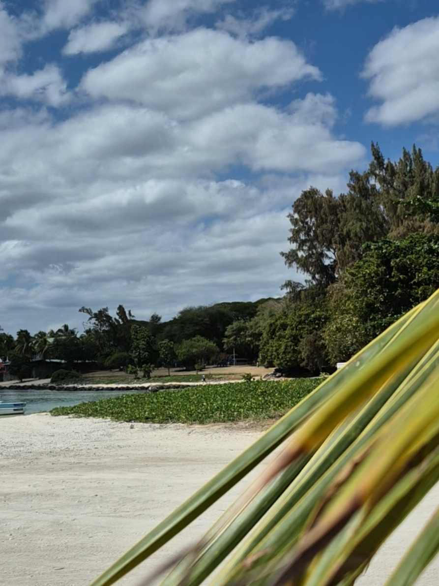 #mauritius🇲🇺 