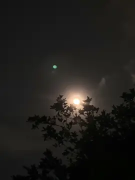 Bulan malam ini teraaang bgt 🌕 #fyp #langit #awan #astrophile #nature 