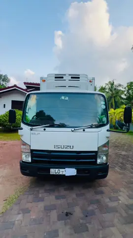 Unregistered Condition තියෙන ඒවා 😩 #isuzu #fypシ゚ #viral #ලොරි_පිස්සෝ🚚💓🤗 #isuzufreezer 