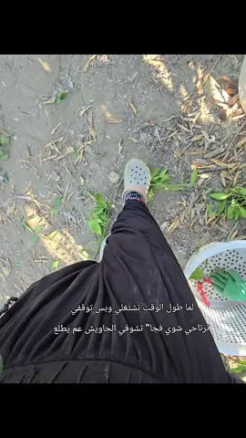 ولله هوو😂💔 #شعب_الصيني_ماله_حل😂😂 #سوريا #تركيا #اكسبلور #لايك 