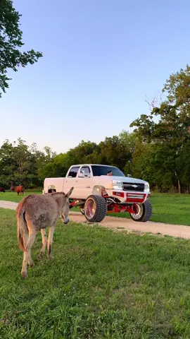 Need to go get more clips here! #foryoupage #trucktok #chevy #showtruck #foryou 