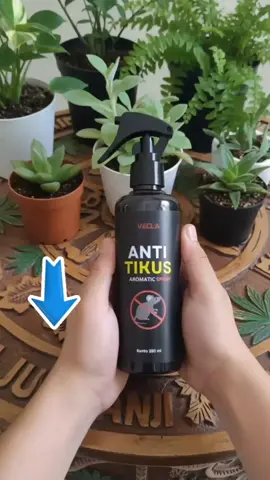 Pernah ngalamin lagi santai tiba-tiba ada tikus lari di dapur? 😱 Bau nggak enak, kabel kegigit, bikin panik! Sekarang nggak perlu stres lagi — ada **VECLA Aromatic Spray**, pengusir tikus dengan aroma yang wangi buat manusia tapi dibenci banget sama tikus! 🐭❌ Cukup semprot di dapur, gudang, bawah lemari, atau mobil — tikus langsung kabur tanpa racun! Aman buat anak & hewan peliharaan juga 🐶👶 ✨ Rumah tetap wangi, bersih, dan bebas tikus! Buruan cek keranjang sebelum promonya habis — bisa COD juga! 💨 #VECLAAromaticSpray #PengusirTikusAman #RumahBebasTikus #AntiTikusWangi #TipsRumahBersih
