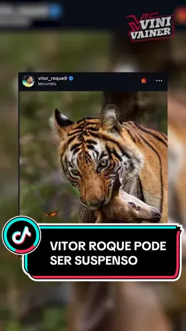 Vitor Roque pode ser suspenso por provocação  #vitorroque #palmeiras #TikTokEsportes 