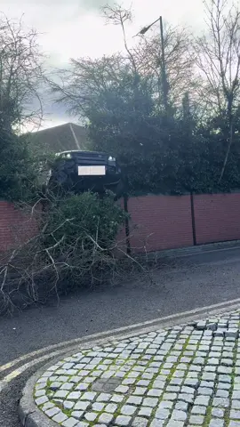 Can’t park there mate 👍🏻 #fyp #foryoupage 