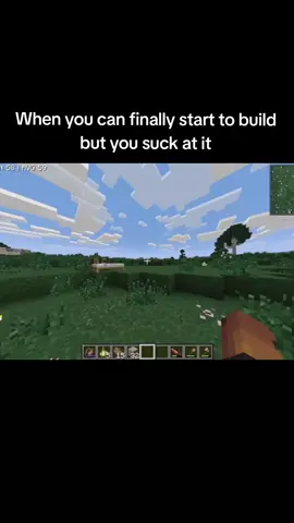 Yes I am still looking for people, yes I am okay at building, yes I love JoJos #Minecraft #tfc #terrafirmacraft #fyp #mc terrafirmacraft ❤️terrafirmacraft