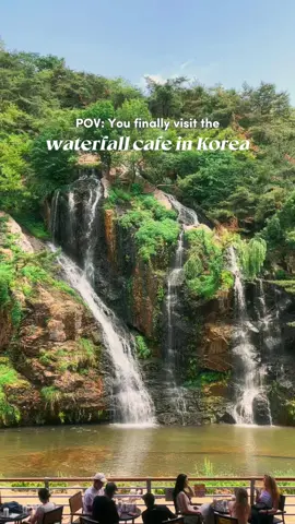 [Korea Solo Diary — Part 8] 🇰🇷✨ Can you believe that this view is actually in Seoul? This cafe near Hongdae overlooks the stunning Hongjecheon Waterfall, making it such a chill spot for long chats and slow afternoons ✨ The space is wide and airy with seating both upstairs and downstairs, indoors and outdoors. Sit outside if you can, it’s the best way to soak in the experience. I found it so healing just to sit here, breathe, and take in all the sights and sounds 🤍 Menu-wise, I tried the apple citron tea which was really good, and the milk bread (you can skip this). 📍 Cafe Pokpo, Seoul (near Hongdae) ✨ Tip: Sit at the outdoor seats upstairs for the best waterfall view Save this for your Seoul cafe itinerary and follow for more Korea recs 🇰🇷 #CafePokpo #SeoulCafe #KoreaCafe #Waterfall #FYP 