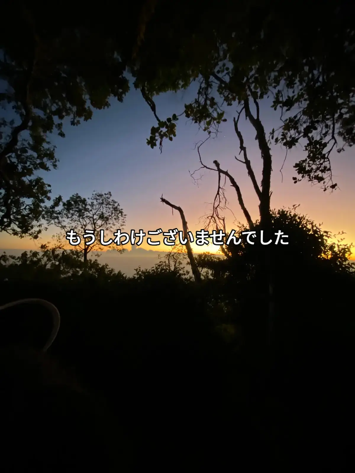 #japan #nihongo #kotoba #fyp #nihon 
