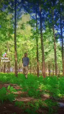 #creatorsearchinsights 