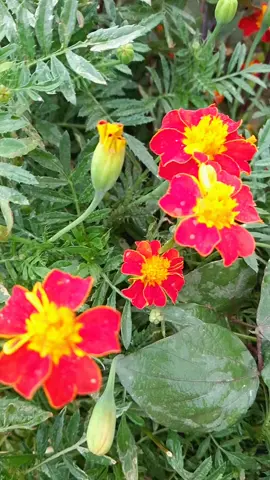 #يازين #وكت #الشتاء #هشتاقات_تيك_توك_العرب 