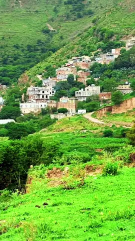 قرية الضهابي التابعة لمديرية جبلة في محافظة اب اليمن  أروع المناظر في صيف-2025 اسعدالله مساكم@@@