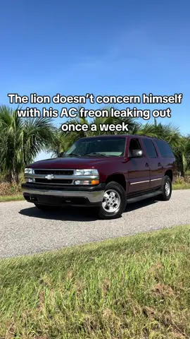 The lion forgot the Suburban existed after the M4 #carsoftiktokcontest #cartok 