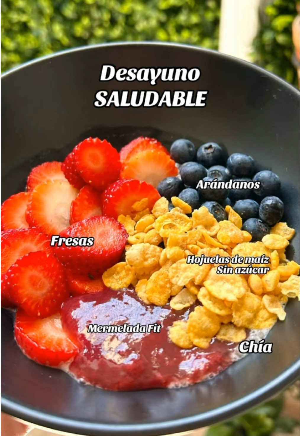 ✨Come rico, saludable y sin complicarte💚 Así me alimento en un día normal para sentirme con energía, cuidar mi cuerpo y mi piel 🥣🥗🍲 ¿Te gustaría que suba la receta completa de cada comida? 👀 👉 Guarda este video si quieres ideas saludables fáciles para tu día 💚 #healthylifestyle #comidasaludable #desayunofit #almuerzosaludable #cenasaludable 