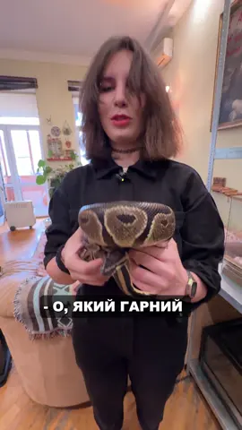 Зоопарк у квартирі 