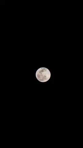 supermoon🌕 7oktober2025 hp+tripod+lensa, bonus nyamuk🫠🌕💃 #supermoon #moon #astrophotography #nightsky #fyp 