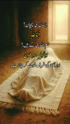 #foryou #foryoupage #urdupoetry #urduliness #urdushayari 