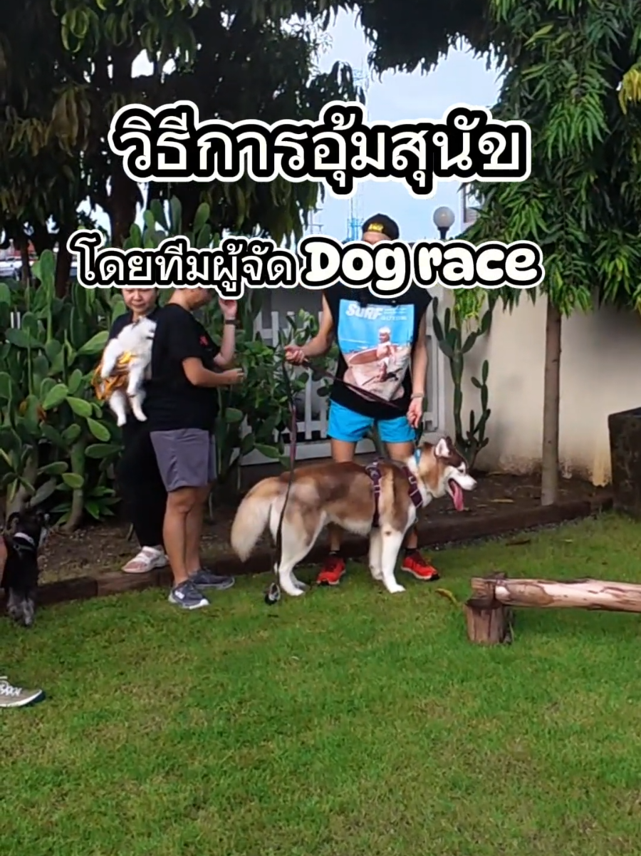 อุ้มให้ถูกวิธีกันเถอะ #ไซบีเรียนฮัสกี้ #dogmom #ไซบีเรียนฮัสกี้ #สุนัขน่ารัก #tiktokสาระความรู้ 