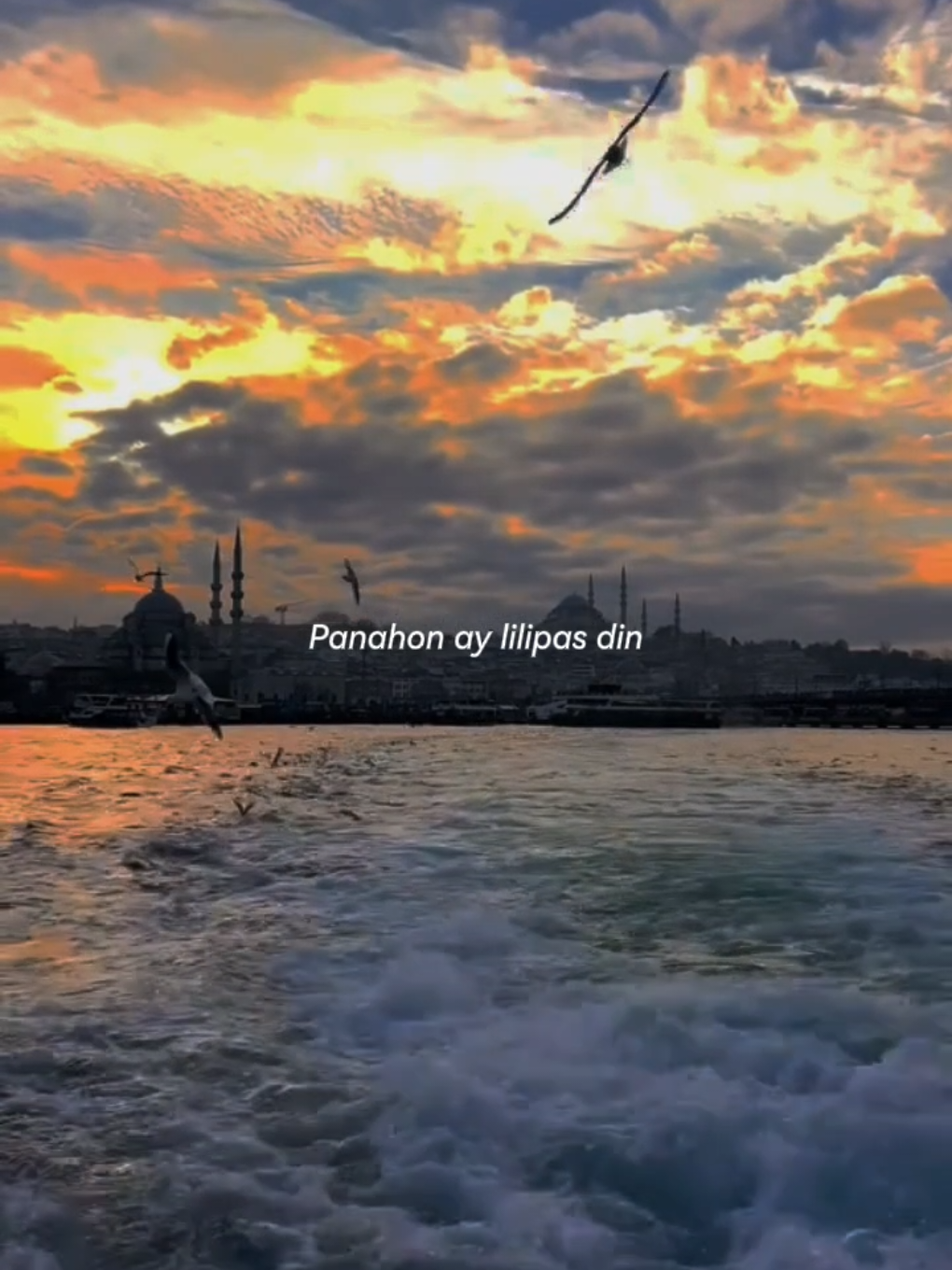 this song 🎧🎧 > > > #lyrics #foryou #song #fyp #foryoupage 