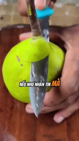 Nếu như nhắn tin mà người ta không trả lời #baihocthanhcong #baihoccuocsong #trietlycuocsong #trietlysong 