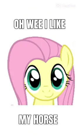 MY PONY MY HORSE 🦄🌈 #mlp #mlpedit #fluttershy #brony #mylittlepony 
