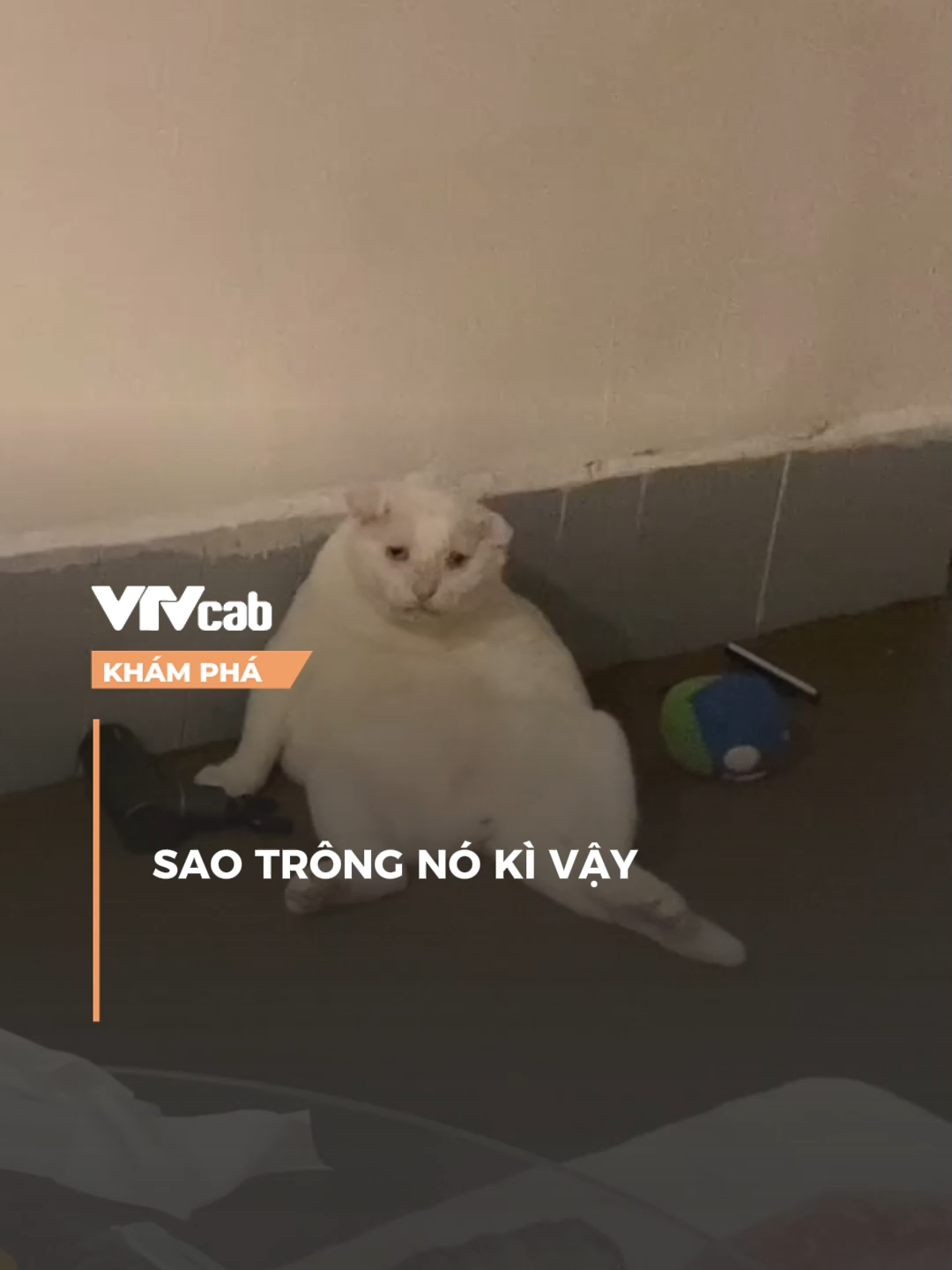 nó đã trải qua những gì vậy #vtvcab #khampha #vtvcabkhampha #onlive #nxt