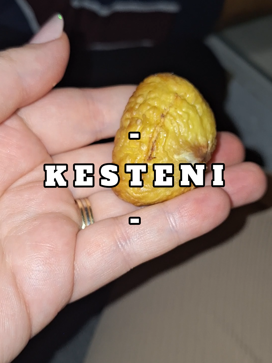 Nitko ne voli kestene koji se ne daju oguliti.  #kesten #chestnut #kuhanje #balkanfyp #brzoifino 
