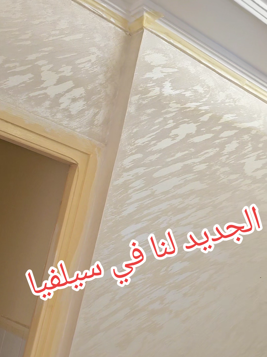 #الشعب_الصيني_ماله_حل😂😂 #افعلها_بنفسك #سيلفيا #فرنسا🇨🇵_بلجيكا🇧🇪_المانيا🇩🇪_اسبانيا🇪🇸 @hassan decor🇨🇵🇧🇷🇧🇷 @فكرة وديكور @فكرة وديكور 