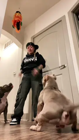 #fyp #foryou #viral #minions 