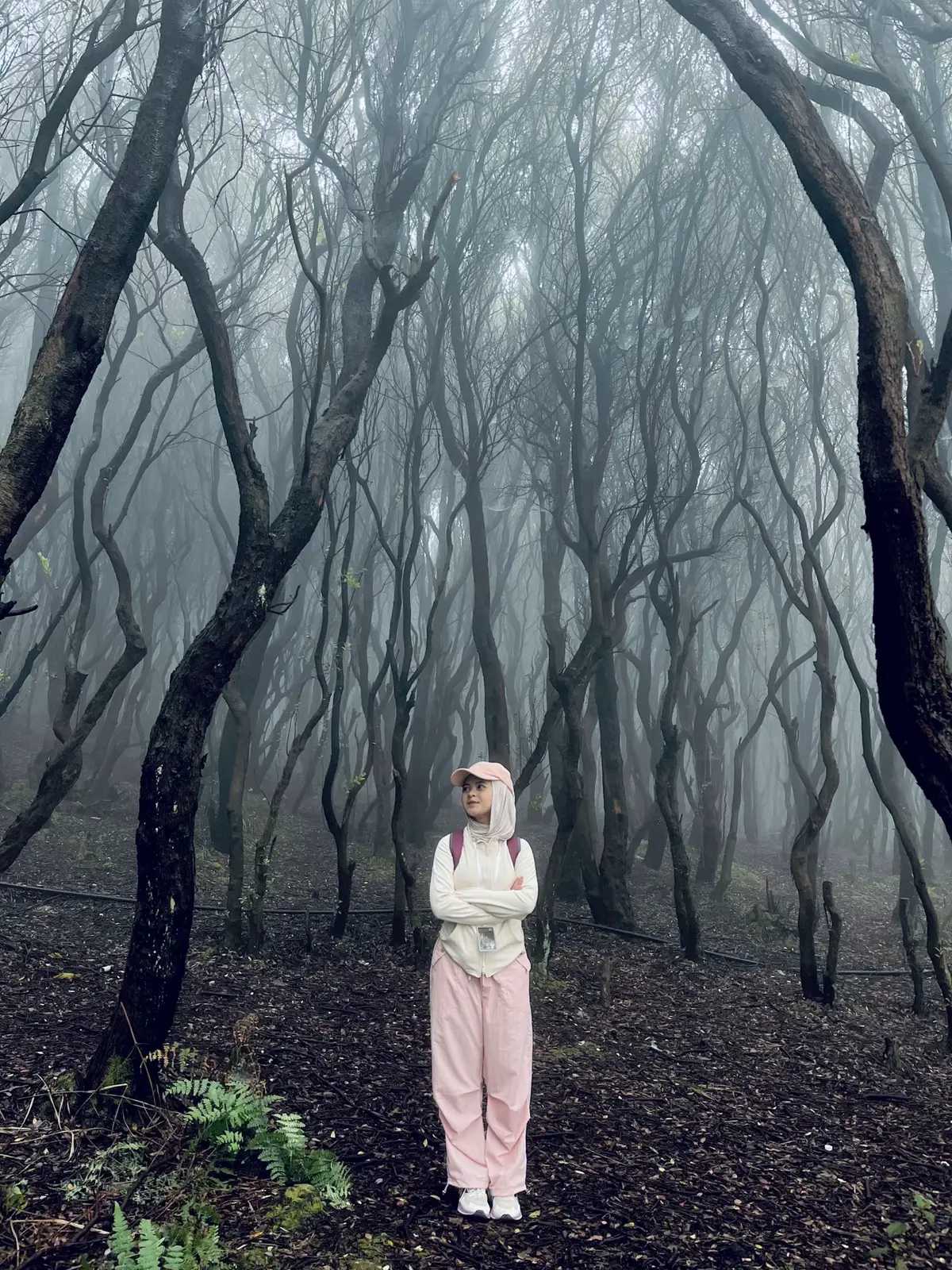 hidden gem gunung jawa barat🧘🏻‍♀️🍃 #pendakigunung #hiddengems #gunung #jawabarat #trending 