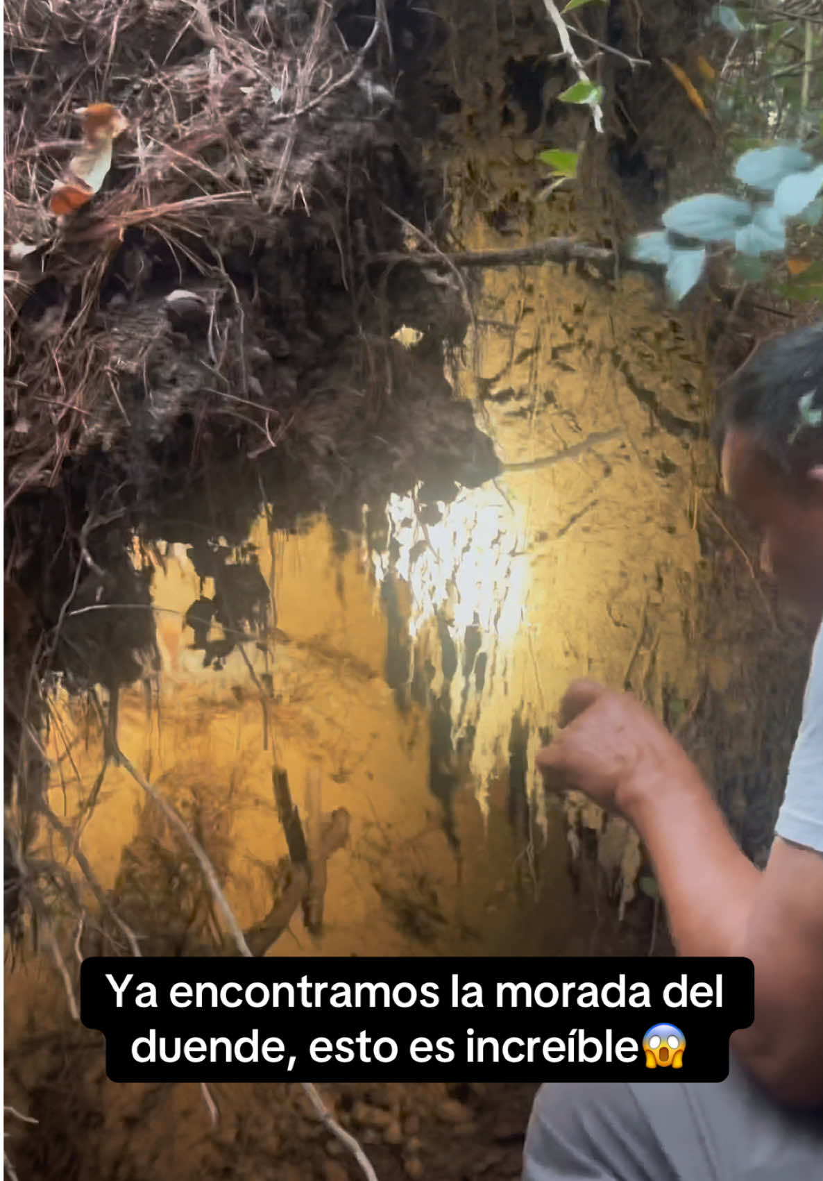 Omg encontramos la casa del duende en medio del bosque😱#viral #leprechaun #duendes #parati #elementales 