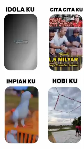 #merpati #merpatiindonesia🕊 #mesukberanda #fyp #gilahobi 