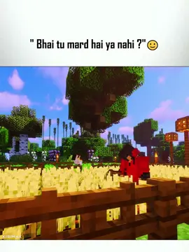 Vai tu mard hai?? 🙂#creatorsearchinsights #Minecraft #tecnoblade #viraltiktok #unfrezzmyaccount 