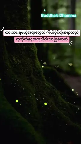 ကုသိုလ်ကံကိုလည်းမကျိုးမပေးဘူးမထင်နဲ့အကုသိုလ်ကံကိုလည်းအကျိုးမပေးဘူးမထင်နဲ့#creatorsearchinsights #buddha #တရားတော်များနာယူနိုင်ပါစေ🙏 #foryoupage #ပါချုပ်ဆရာတော်ဘုရာကြီး🙏🙏🙏 