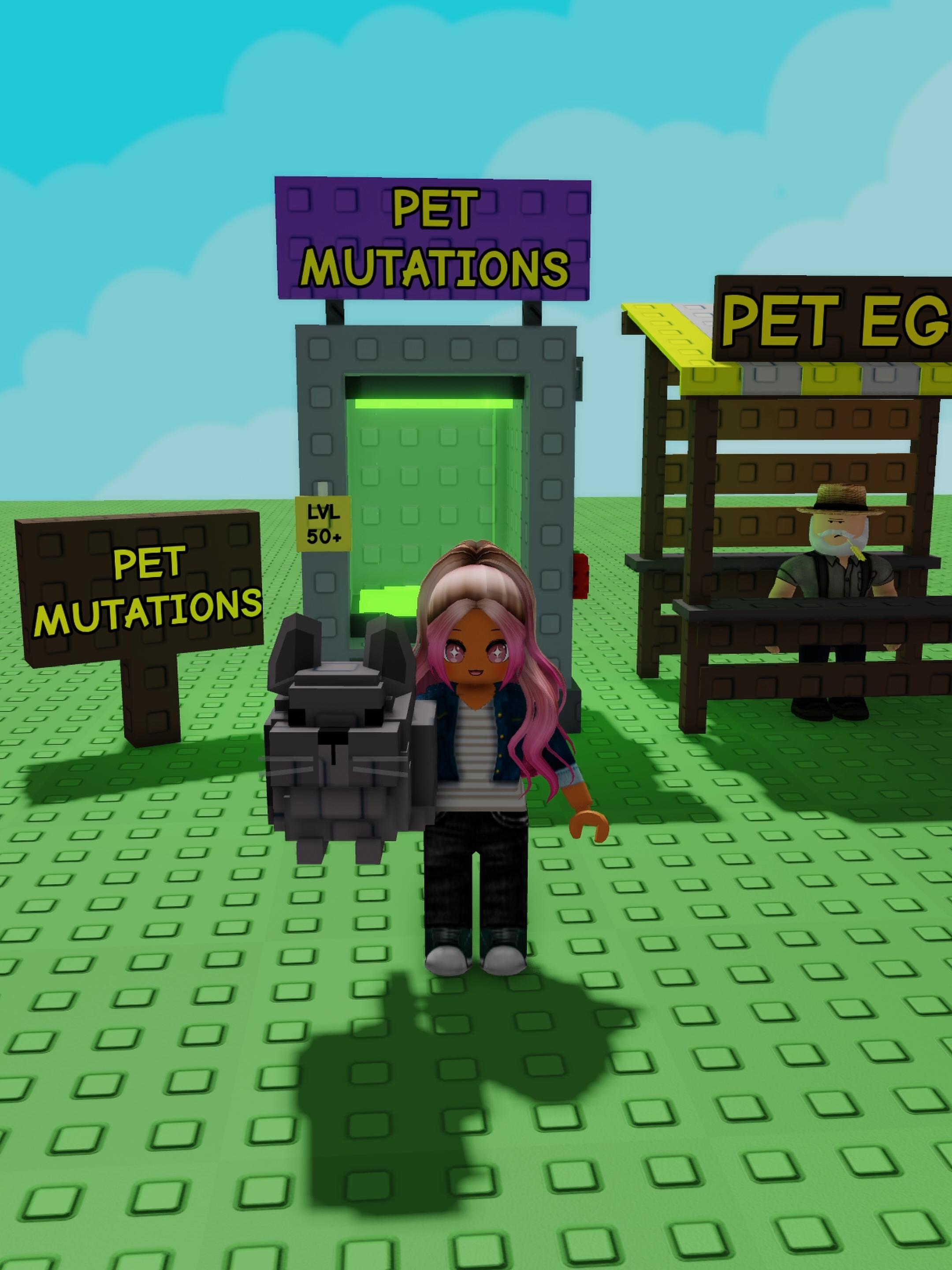 Chinchilla Mega Mutation 😍 #ad #growagarden #roblox #chinchilla #divinepet #megamutation #chubbychipmunkupdate#fyp#fypviralシ