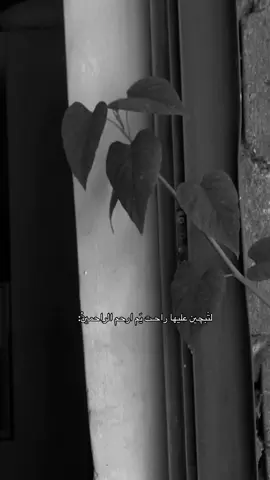 #حاولت 💔 #باسم_الكربلائي #fyppppppppppppppppppppppp #اعادة_النشر🔃 