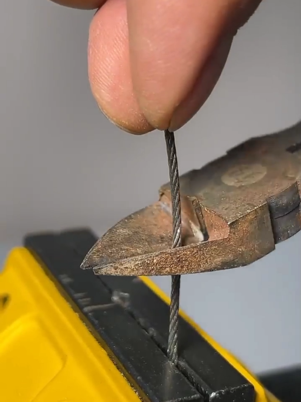 mufti tarik masod ❤️. #MuftiTariqMasood #TariqMasoodBayan #IslamicScholar #DeeniBayan #IslamicLectures 