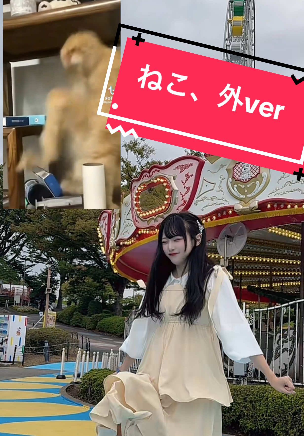 全然遊園地でも踊ります👍 #日常 #遊園地　#よみうりランド #ダイエット #猫ダンス 
