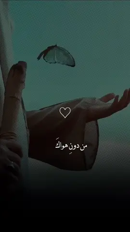 هَـل لي ان اراكَ🥹🤍؟. ⠀⠀⠀⠀⠀ ⠀⠀ #fyp #الامام_المهدي #العراق #بغداد #شيعة 