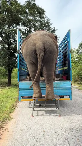 ลุ้นทุกครั้งเวลาลง แต่ก็ชำนาญมาก และปลอดภัยทุกครั้ง