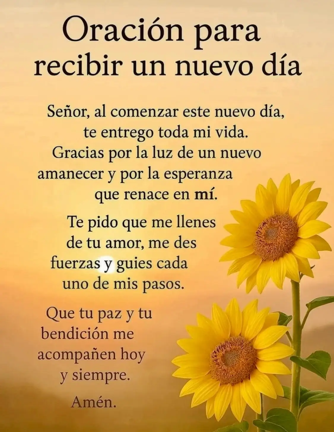 #lluviadebendicionesparatodos☔️🙏🏼 #graciasDiosporundiamasdevida🙏🏼♥️ #entusmanosestamosseñormioydiosmio🤲🏼🙌🏼🤝 #diospordelanteiniciomidia🙏🏼🦋🛐 #condiostodoesposible🙏🏼🦋 