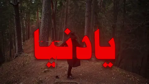 شويه شويه يا دنيااااا ! #اغاني_مسرعه💥 #اغاني_عراقيه #fppppppppppppppppppp #foryoupage 