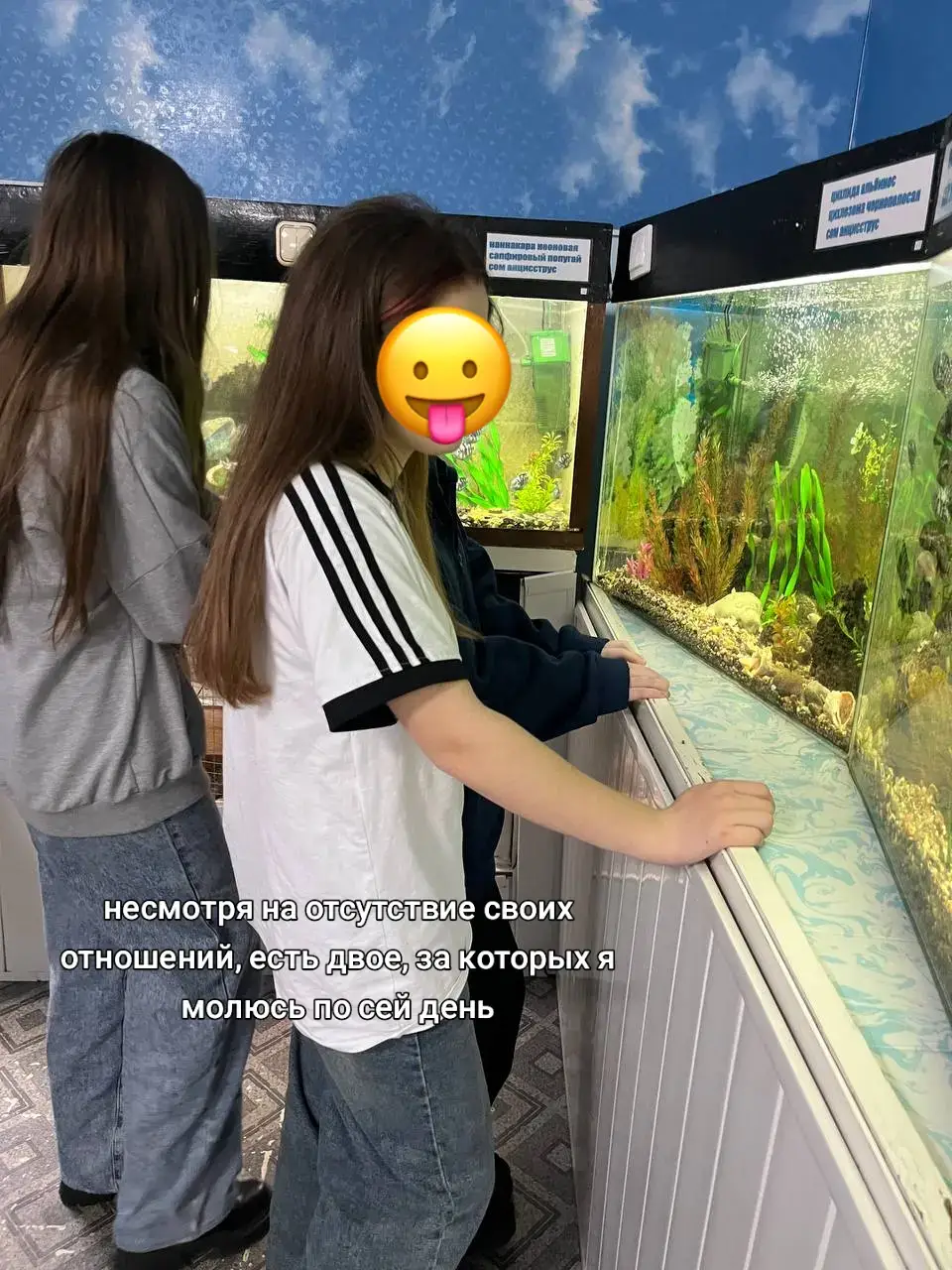 @ариша 🤩💘#глобальныерекомендации #рекомендации #fyp #любимки 