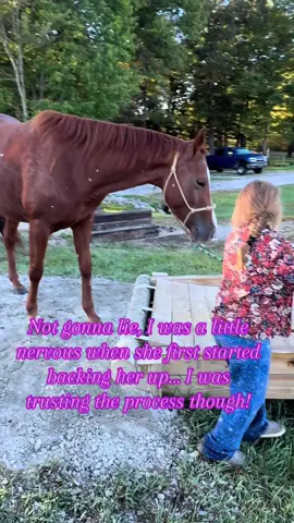 Training #coltstarting #goodhorses #horsesoftiktoktok #filly 