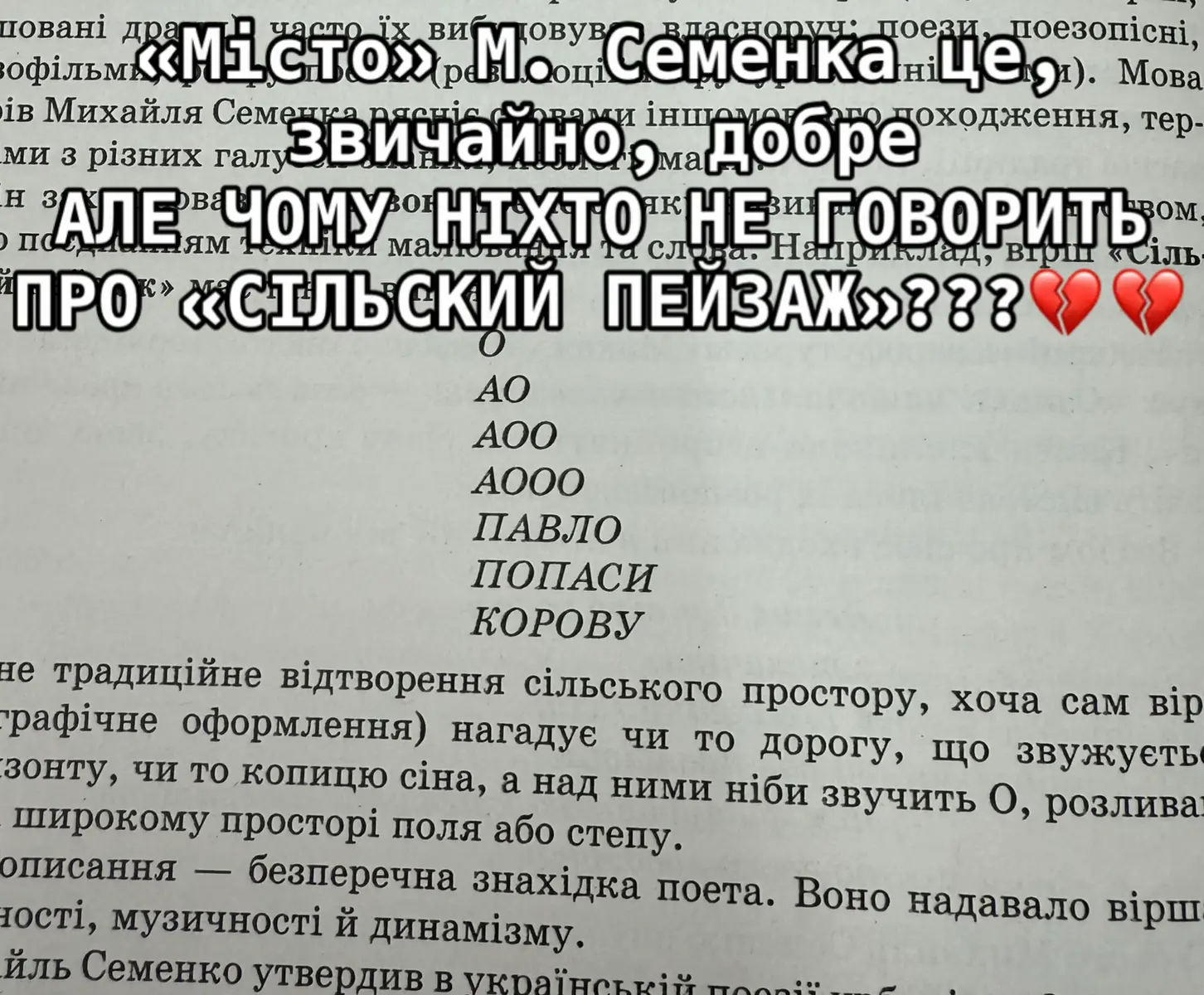 #fyp #українськалітература #михайльсеменко #рофл #славаукраїні🇺🇦🇺🇦🇺🇦 