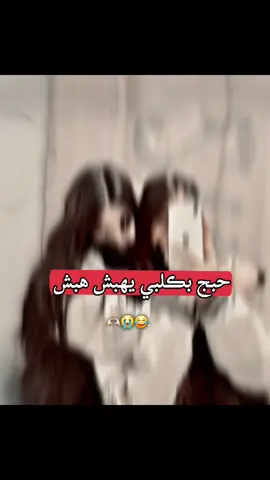 #الشعب_الصيني_ماله_حل😂😂 @رانسي🦋🕊 @حــڪ نــــفسي👑 @ضـᬼ👑⍣⃟ــاغطتگم 