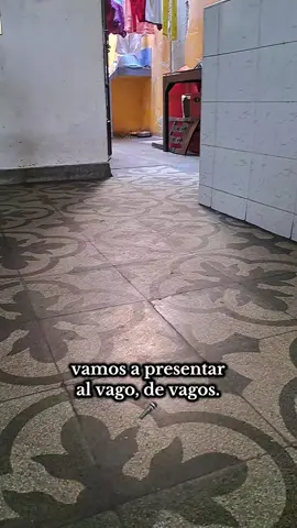 Las cosas como son! 🤣🤣🤣 || #humor #tendencia #viral #comicosambulantes #paratiiiiiiiiiiiiiiiiiiiiiiiiiiiiiii 