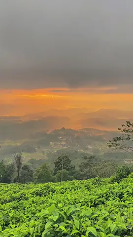 Kabut lembutnya GLL  #gunungluhurlangit #taraju #kabutlembut #sunrise #alam 