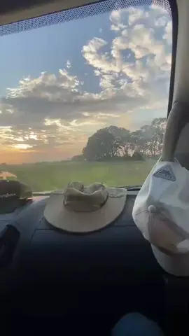 #parat#virall#campo#agriculture 