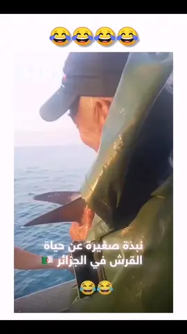 #شعب_الصيني_ماله_حل 🤣🤣