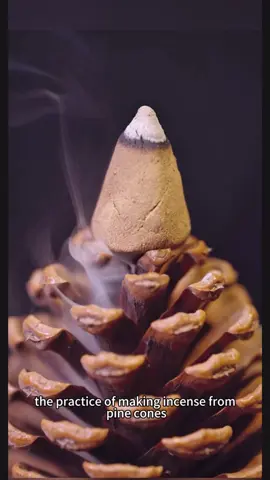 Bring the scent of the forest home — handmade pine cone incense. 🌿 gentle pine scent that soothes the soul. 🍃#SlowLiving #Handmade #NaturalIncense #Nature 